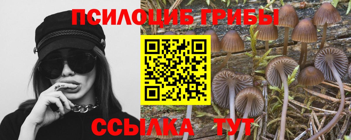 Галлюциногенные грибы Psilocybine cubensis Азнакаево